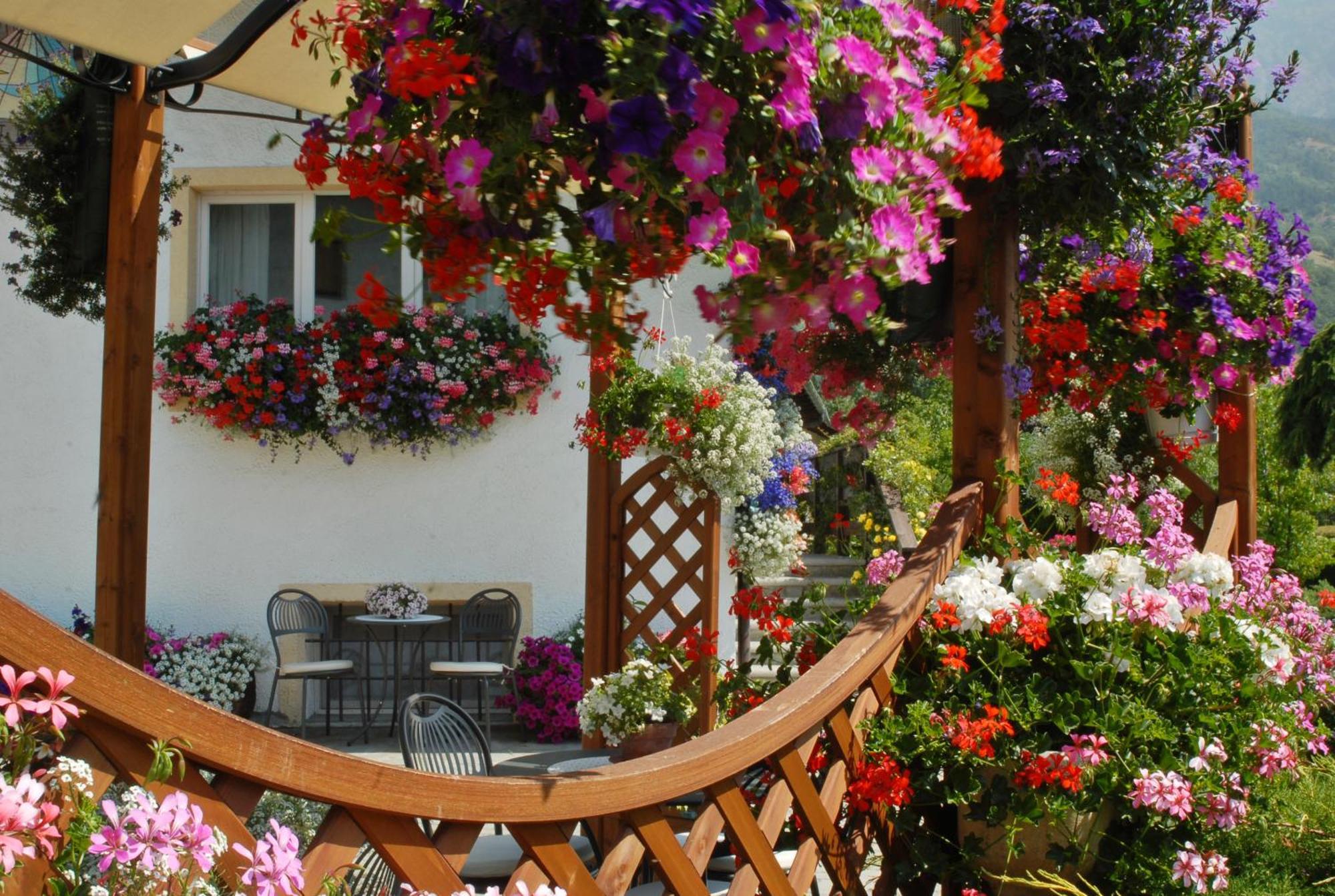 La Roche Hotel Appartments Аоста Екстериор снимка